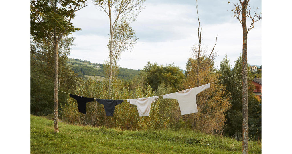 Clothes hanging on a line between trees in a grassy field.