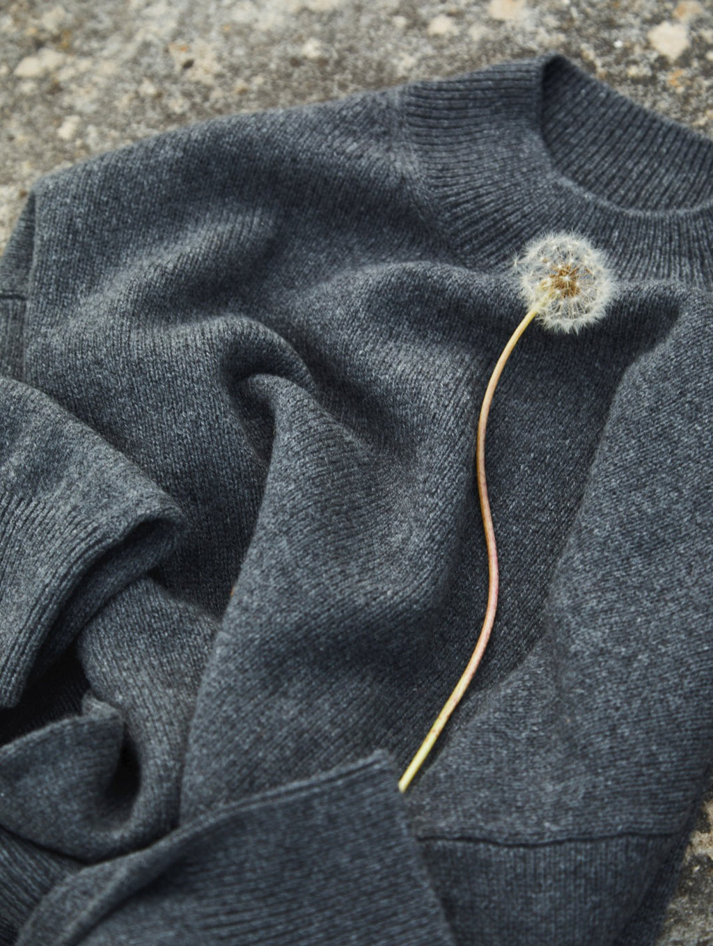 Dandelion on a folded sweater.