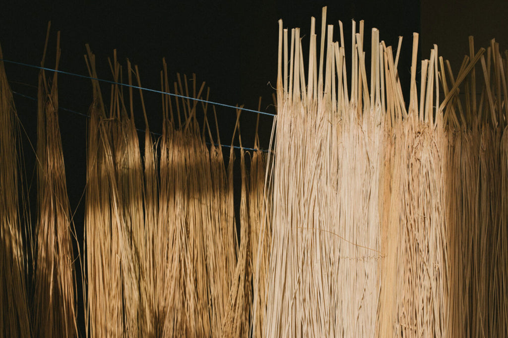 Dried spaghetti noodles hanging on a line to dry.