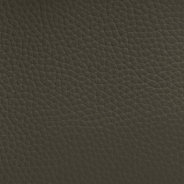 Close-up texture of a leather surface