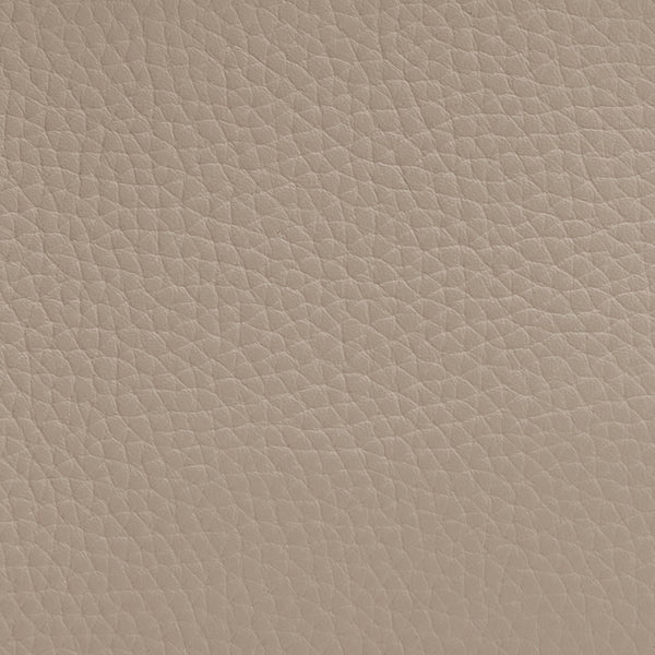 Texture resembling leather with visible patterns.