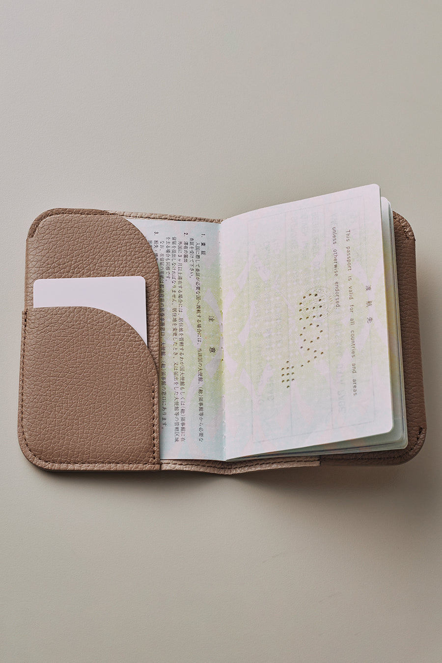 Passport Case (Shimmer) Anthracite / One Size