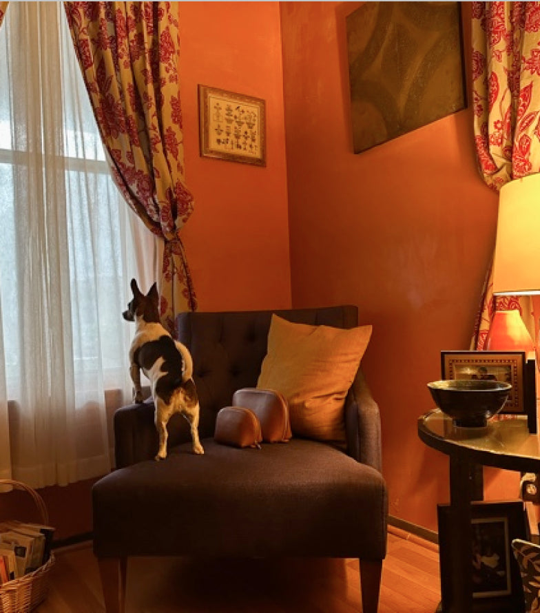 Dog standing on a chair looking out a window in a room.