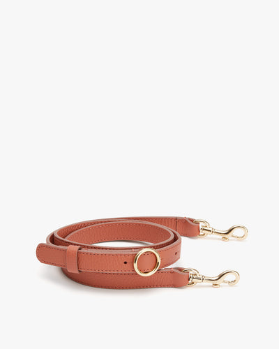 Leather belt with two metal clasps and a circular ring.