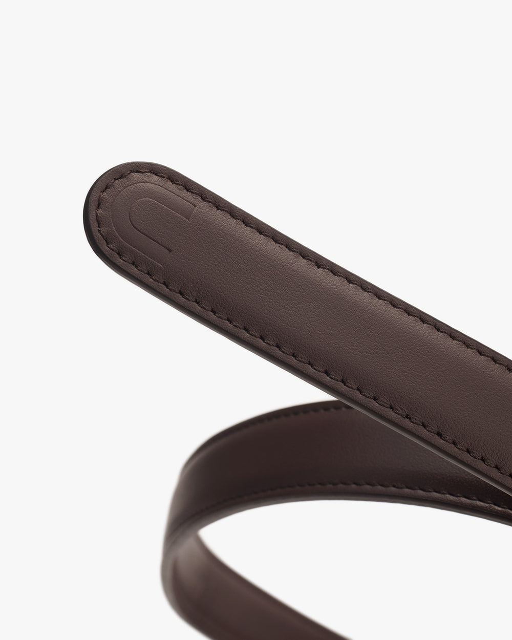 Celestia Belt Close-up of the end of a belt.