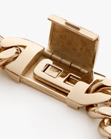 Close-up of a metal clasp on a chain.