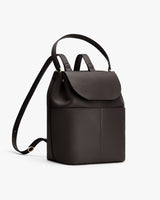 Backpack with top handle and shoulder straps on a plain background.