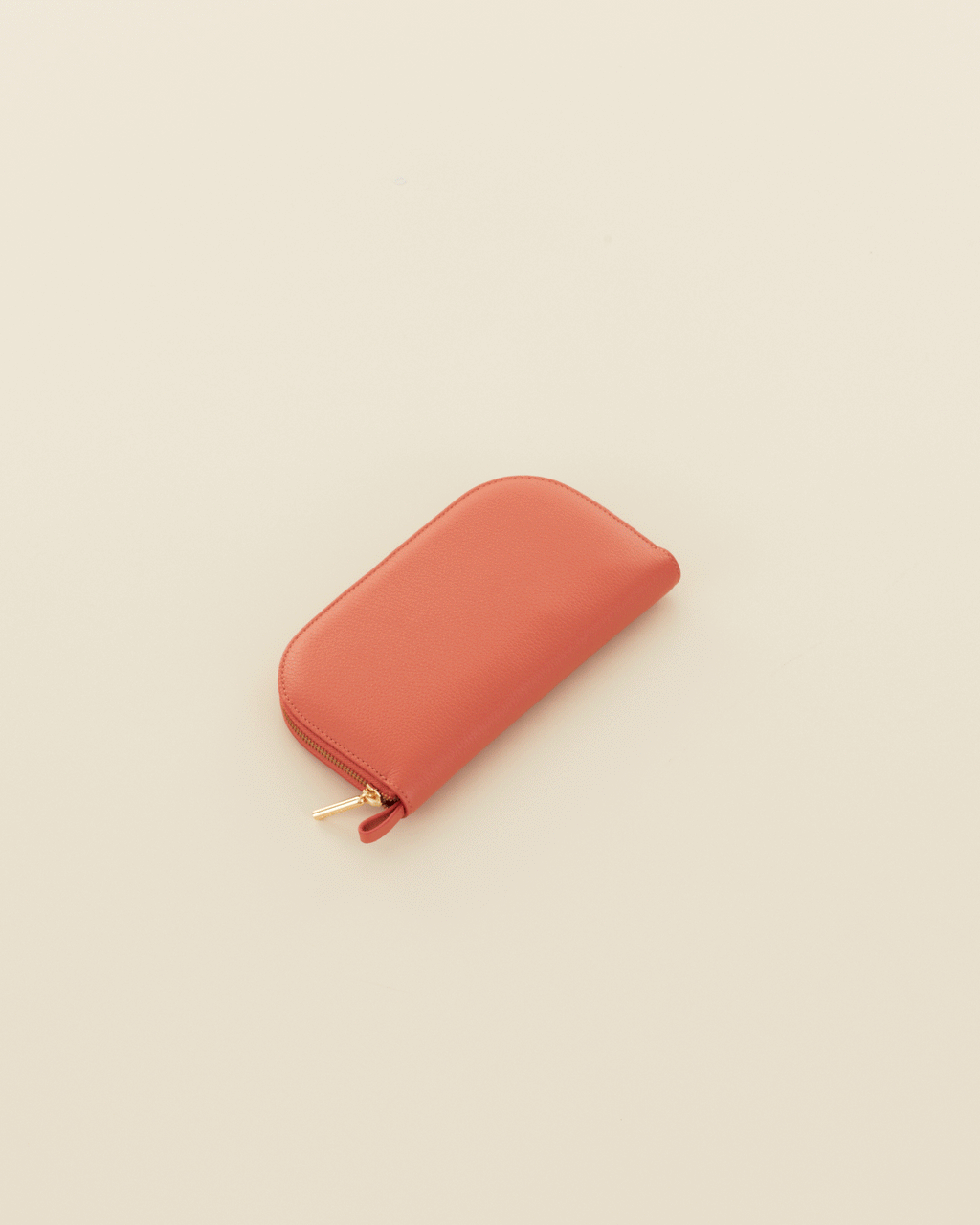 Closed zipper wallet on a plain background