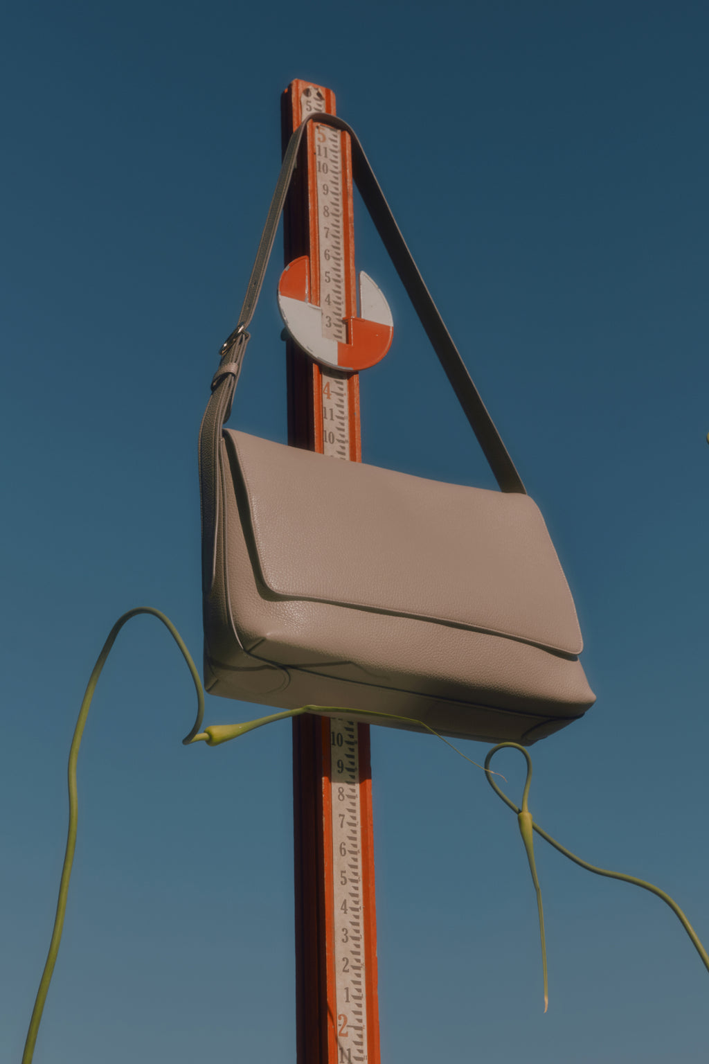 Purse hanging from a ruler with a circular object and foliage.