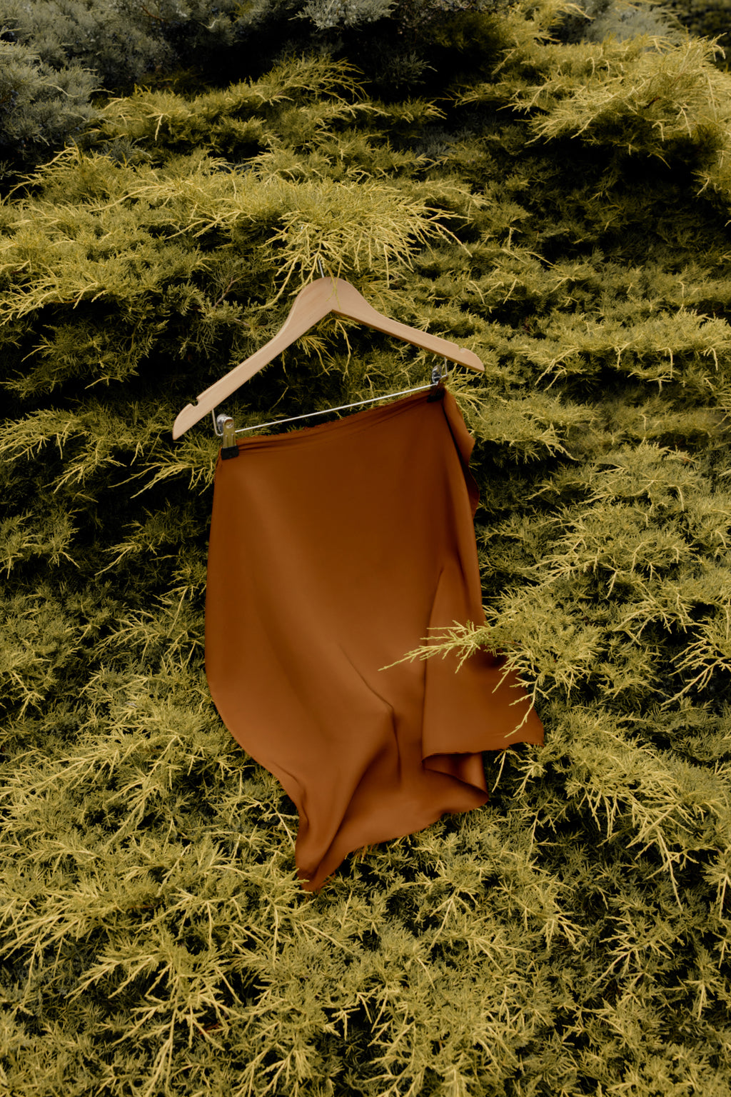 Clothing item hanging on a wooden hanger amidst dense foliage.