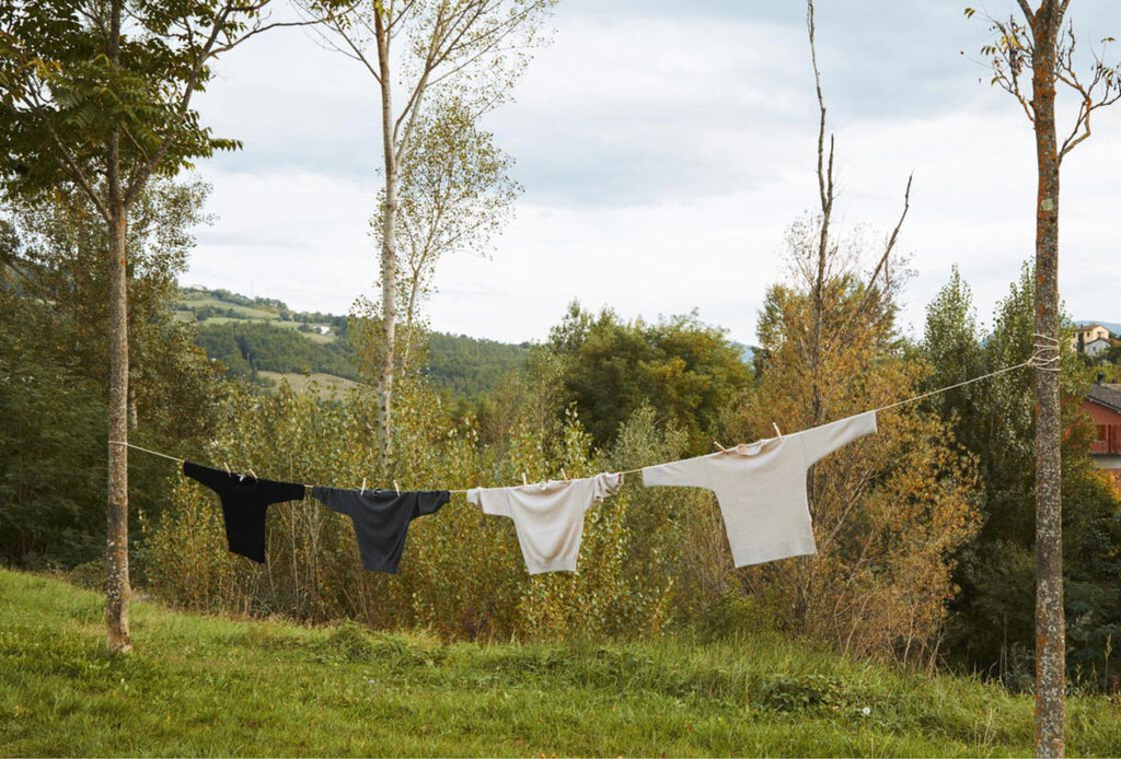 Clothes hanging on a line between trees in a grassy field.