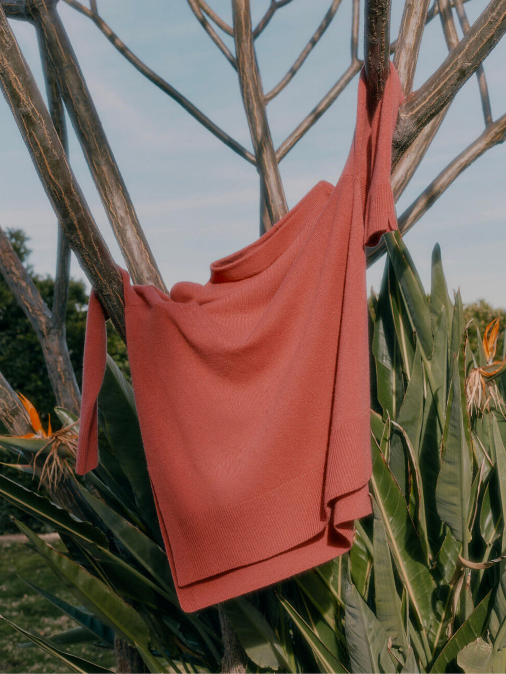 Shirt hanging on a branch outdoors