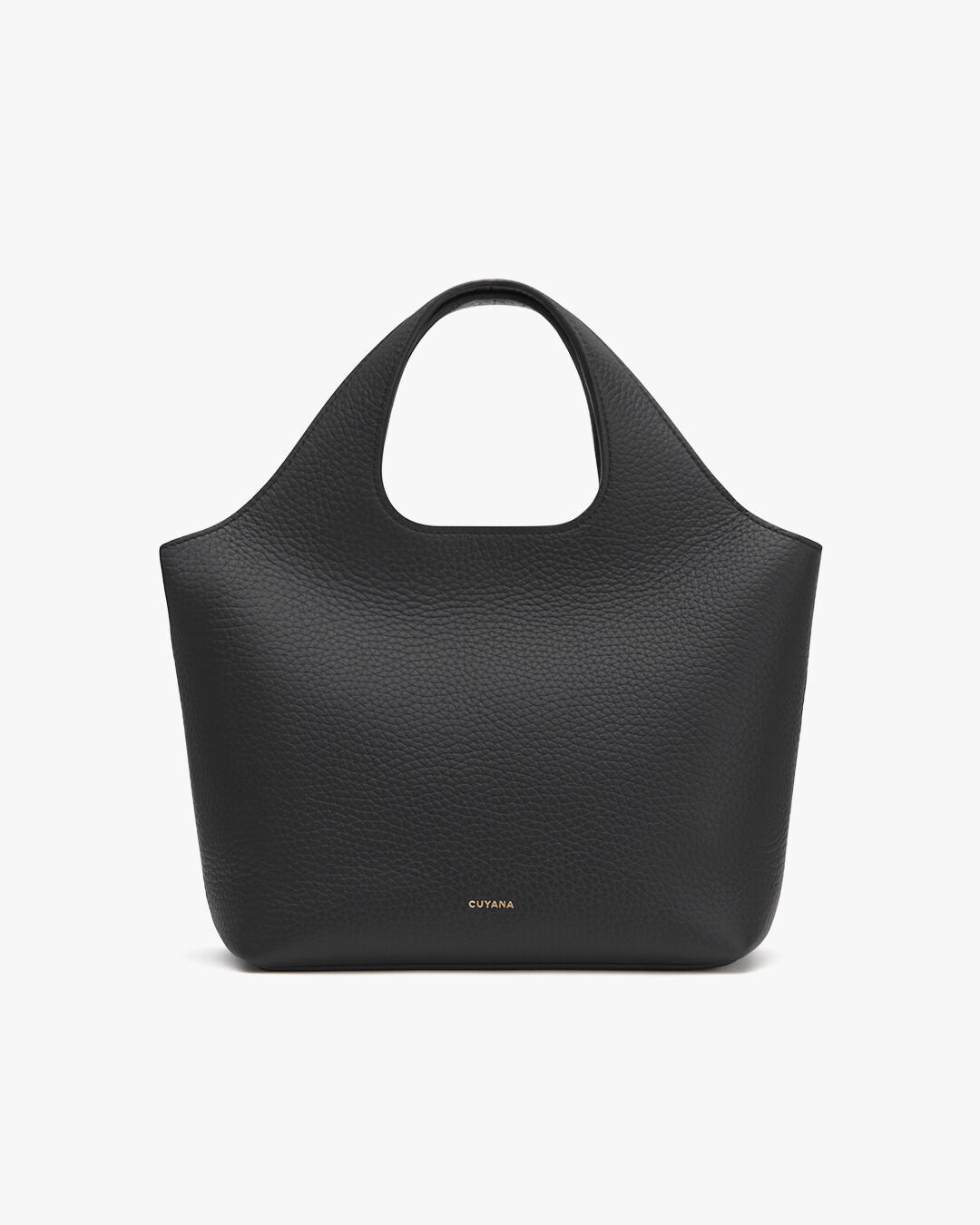 cuyana system tote