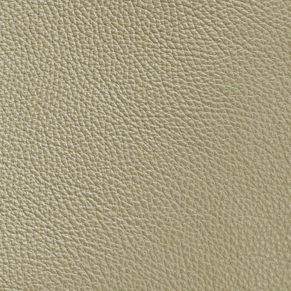 Close-up texture of a leather-like surface.