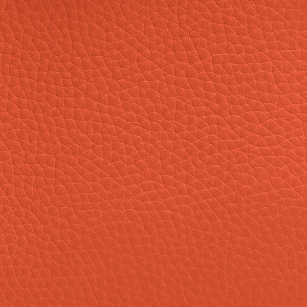 Close-up of textured leather surface.