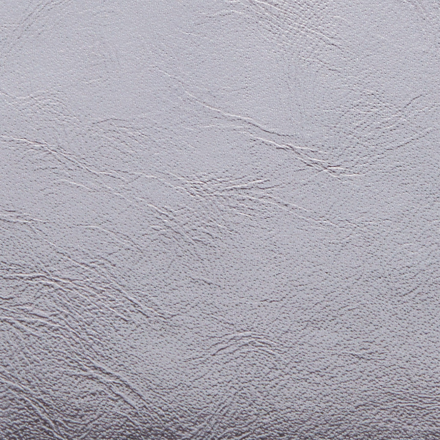 Passport Case (Shimmer) – Cuyana
