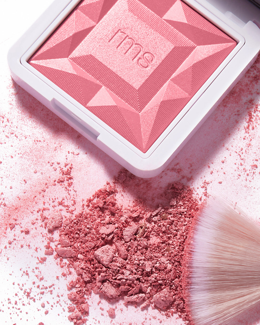Blush powder with brush beside a compact case.