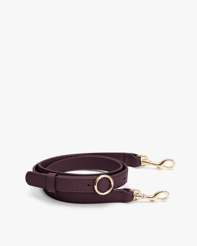 Leather bag strap with gold clasps and ring detail.