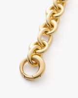 A close-up of a metal chain with interlocking links.