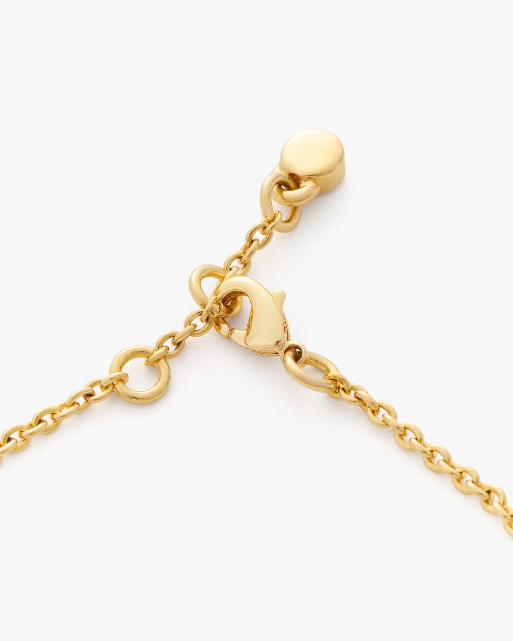 Close-up of a chain necklace clasp mechanism.
