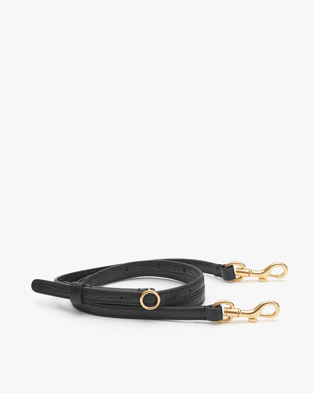 Leather leash with metal clasps and ring.