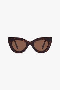 Brown Tortoise