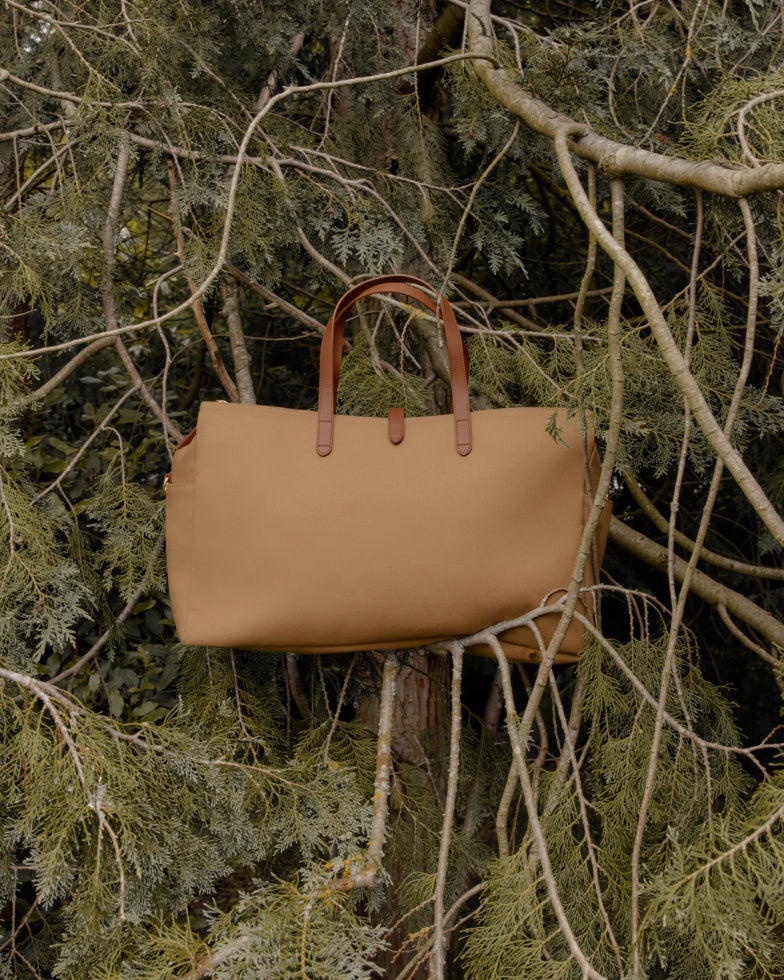 Travel bag hanging on tree branches in a forest setting