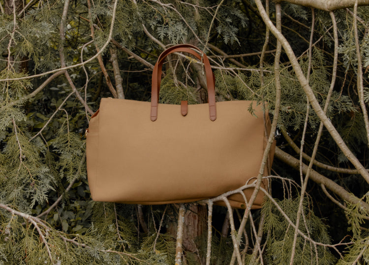 Travel bag hanging on branches in a forest setting.