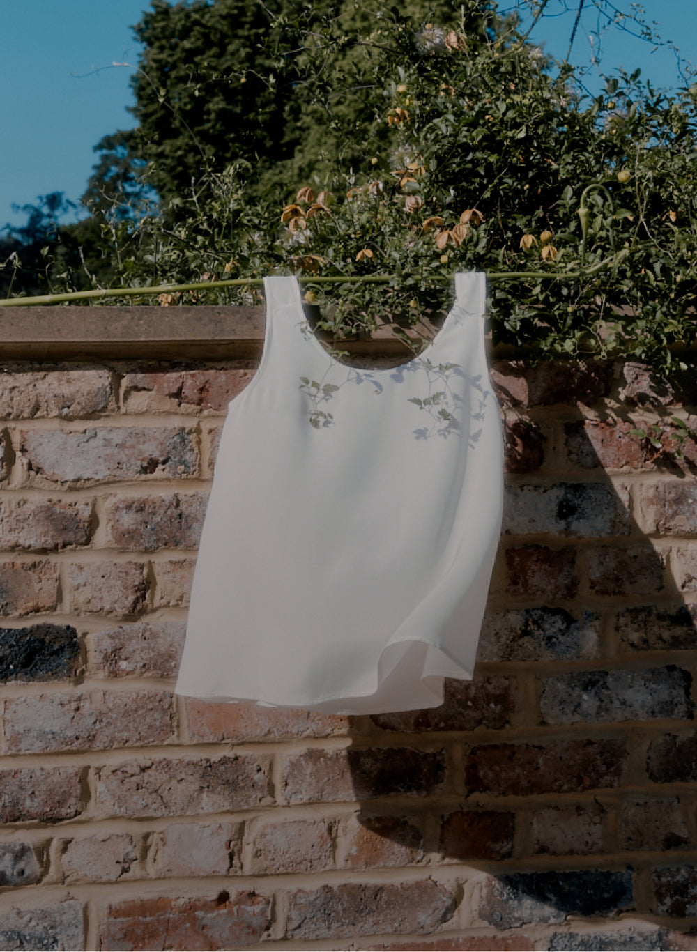 Dress hanging on a brick wall with vegetation in the background.