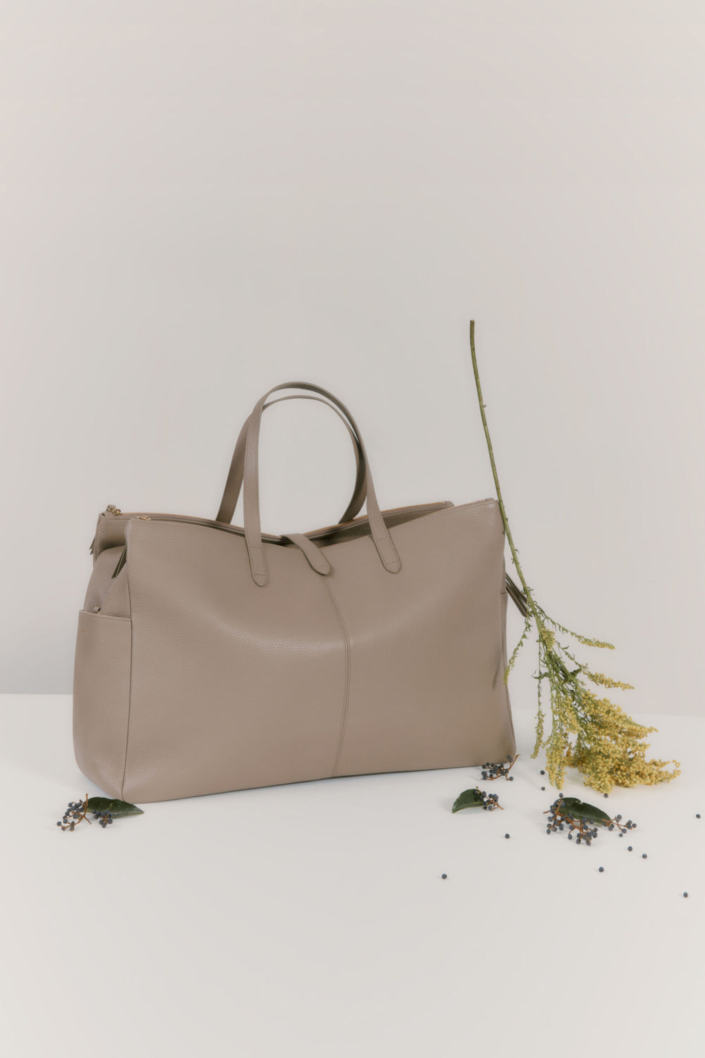 Handbag next to a branch with leaves on a plain background.