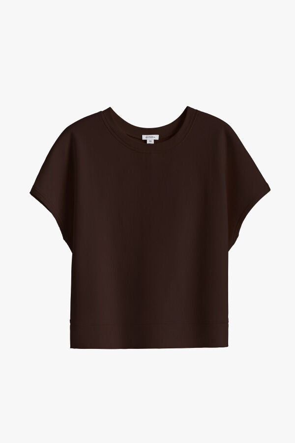 Chocolate / Small