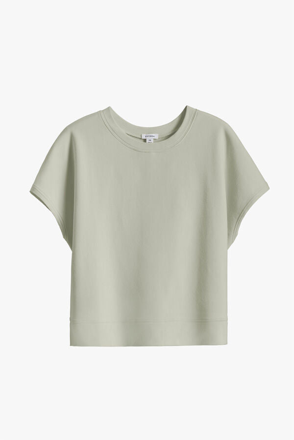 Sage / Small